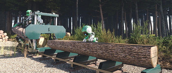 Forestry and woodwork