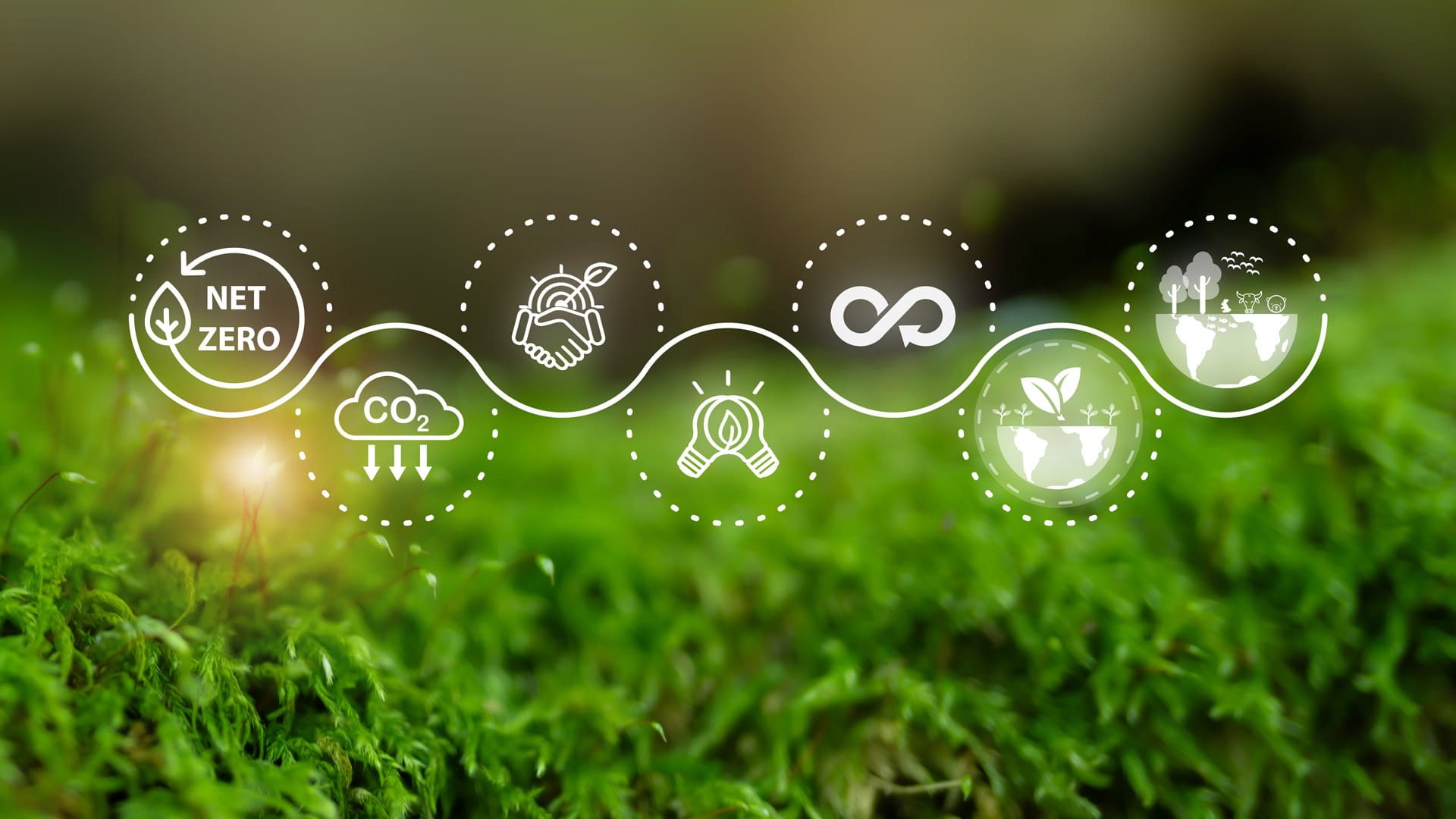 Sustainability Strategy