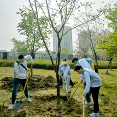 Planting tree day