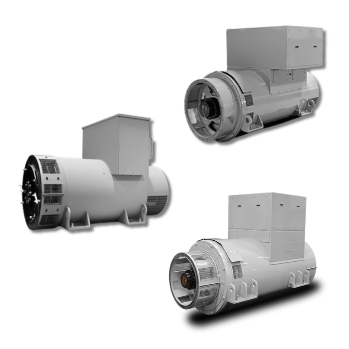  Leroy-Somer™ Industrial Alternators (Americas)